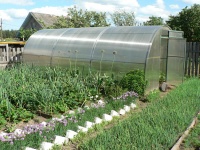 Налог на теплицу: правда или вымысел?