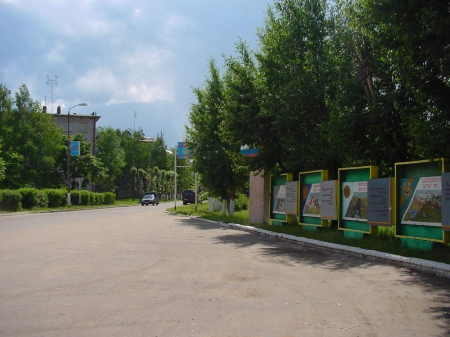Готовь сани летом