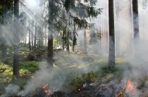 Требования пожарной безопасности на природе