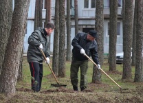 Все на субботник! 